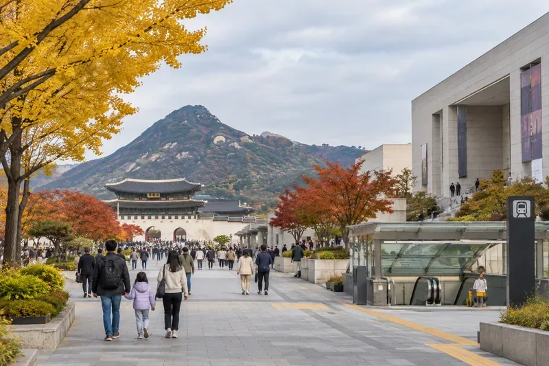 2026년 10월 서울 무료 박물관·동물원·궁궐 가이드: 날짜, 시간, 예약·신분증 규정까지