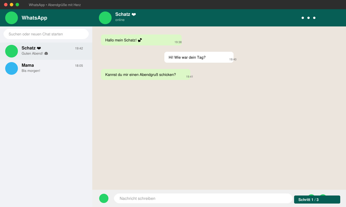 WhatsApp-Chat-Fenster mit einem ausgewählten Kontakt und leerem Eingabefeld