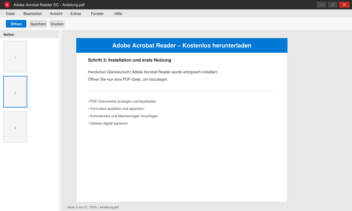 Geöffnetes Adobe Acrobat Reader Fenster mit einer angezeigten PDF-Datei