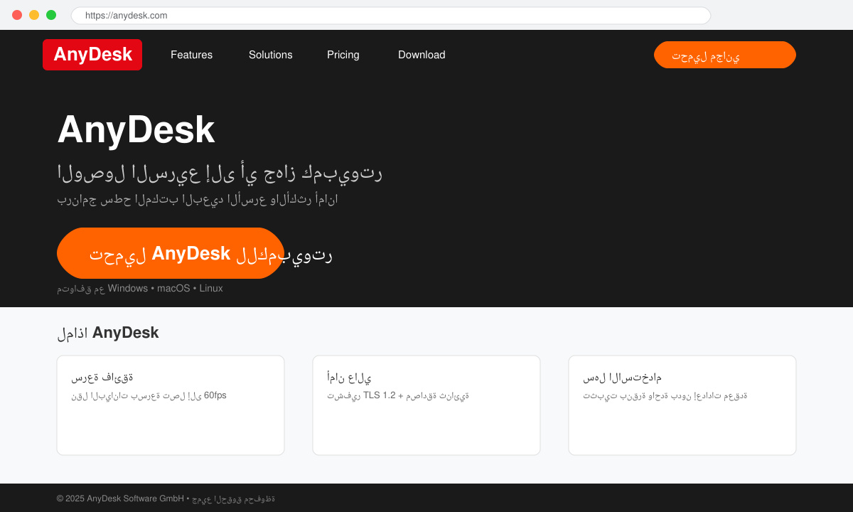 Screenshot of the AnyDesk official website download button highlighted