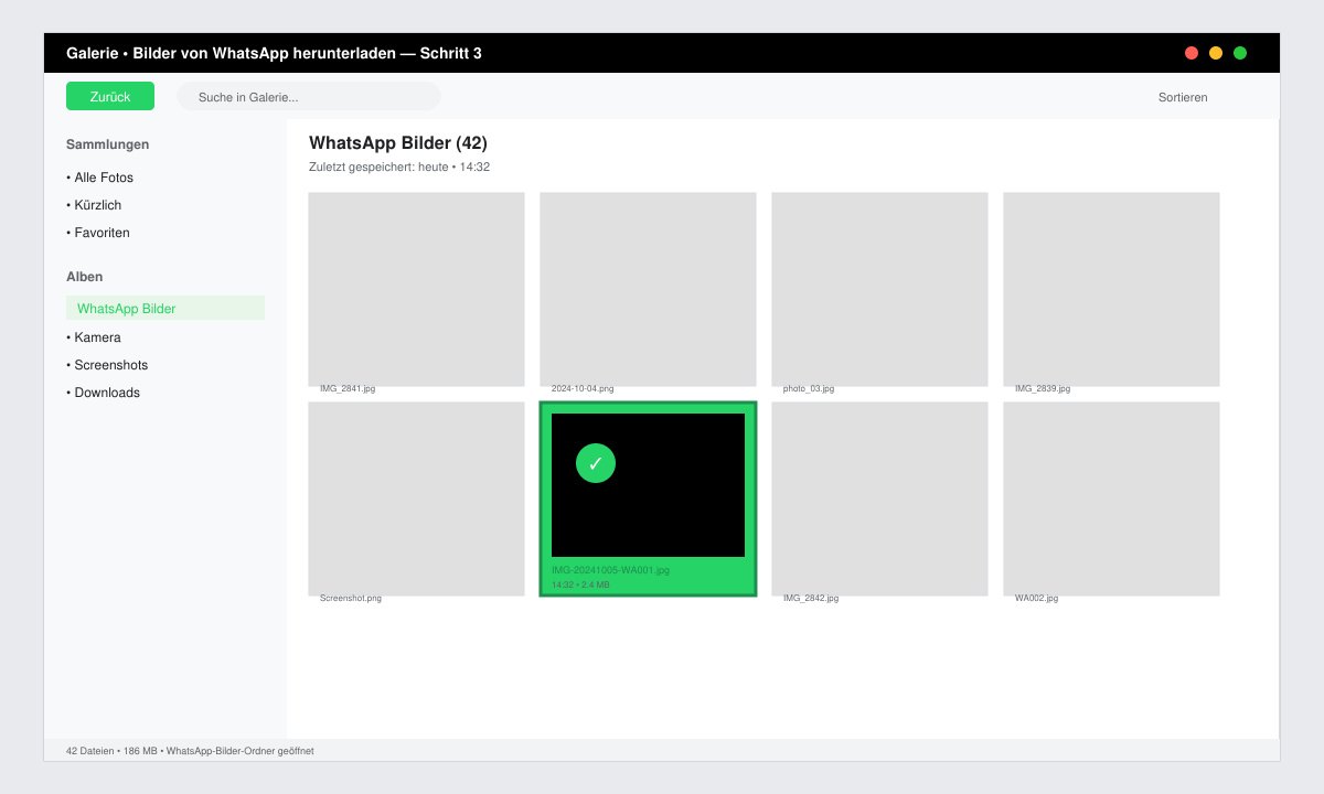 Galerie-Ansicht mit gespeichertem WhatsApp-Bild