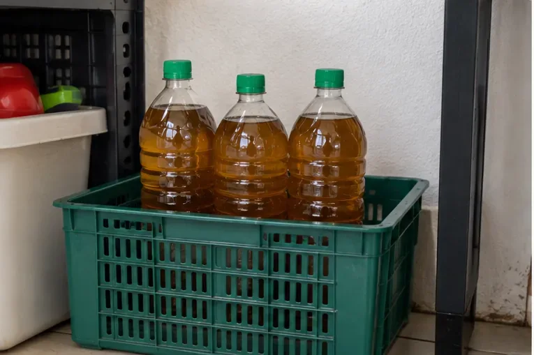 Três garrafas plásticas transparentes, fechadas com tampas verdes, armazenando óleo de cozinha usado em uma caixa plástica.