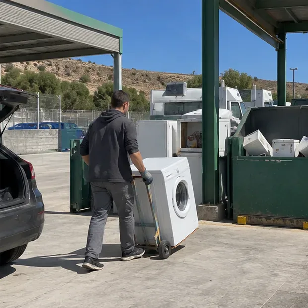 Cómo tirar una lavadora en Alicante: recogida gratuita, ecoparque y retirada al comprar otra