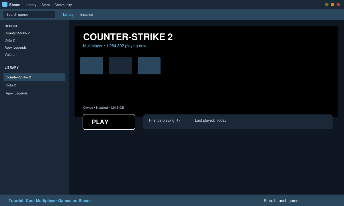 Steam library view after installing a multiplayer game with the Play button ready