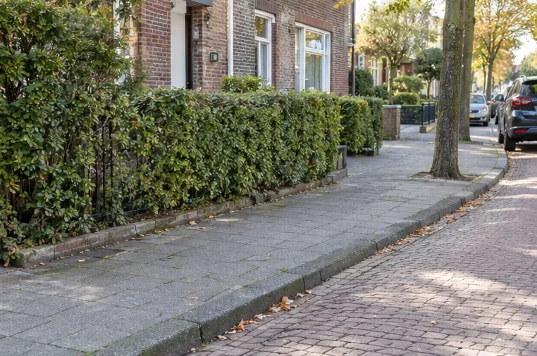 Een lege en vrije stoep na de grofvuilinzameling, met alleen heggen, bomen, woningen en geparkeerde auto's langs de straat.