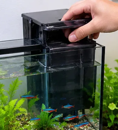 A hand opens the top of a black aquarium hang-on-back filter above a planted fish tank before maintenance.