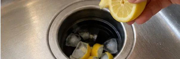 Lemon pieces being added near the garbage disposal as an optional deodorizing step.