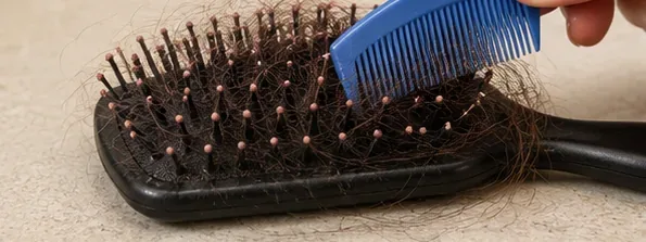 A black paddle hairbrush with trapped hair being cleared from the bristles with a small blue comb
