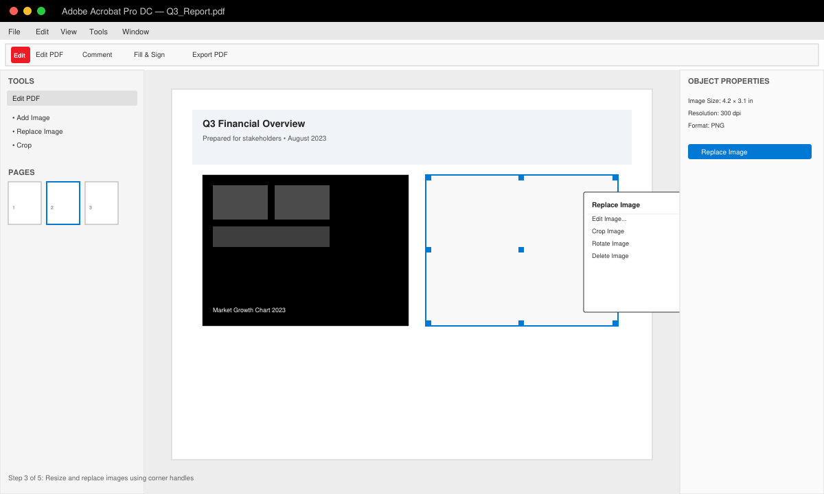 Acrobat screen showing an image being resized inside a PDF page with handles visible