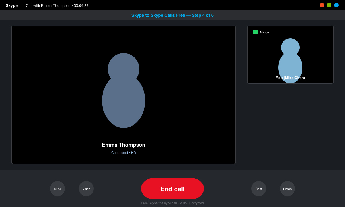 Active Skype call window showing video feed and call controls