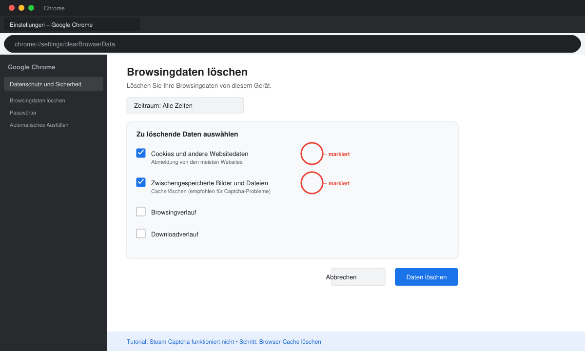 Browser-Einstellungen zum Löschen des Cache bei Steam Captcha Fehler