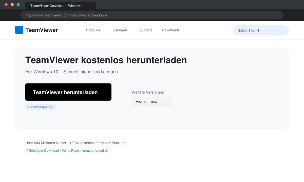 Download-Button auf der offiziellen TeamViewer-Seite