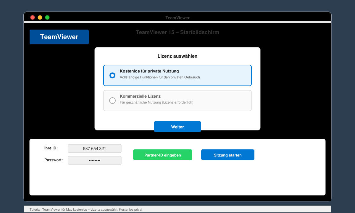 TeamViewer-Startbildschirm mit Lizenzauswahl für private Nutzung