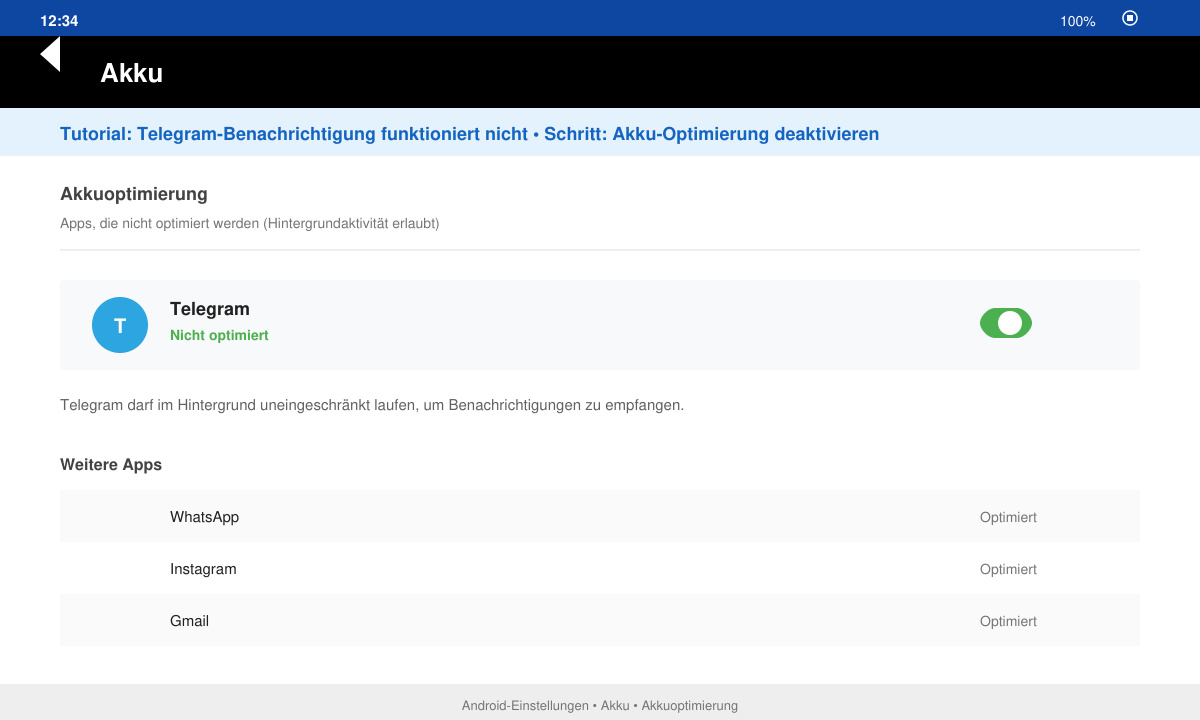 Ansicht der Akku-Einstellungen mit deaktivierter Optimierung für Telegram