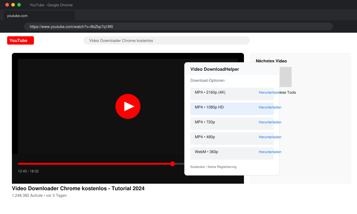Video Downloader Chrome kostenlos Download-Optionen anzeigen