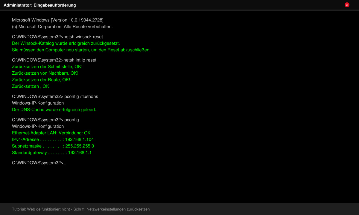 Command prompt window showing successful execution of ipconfig and netsh reset commands