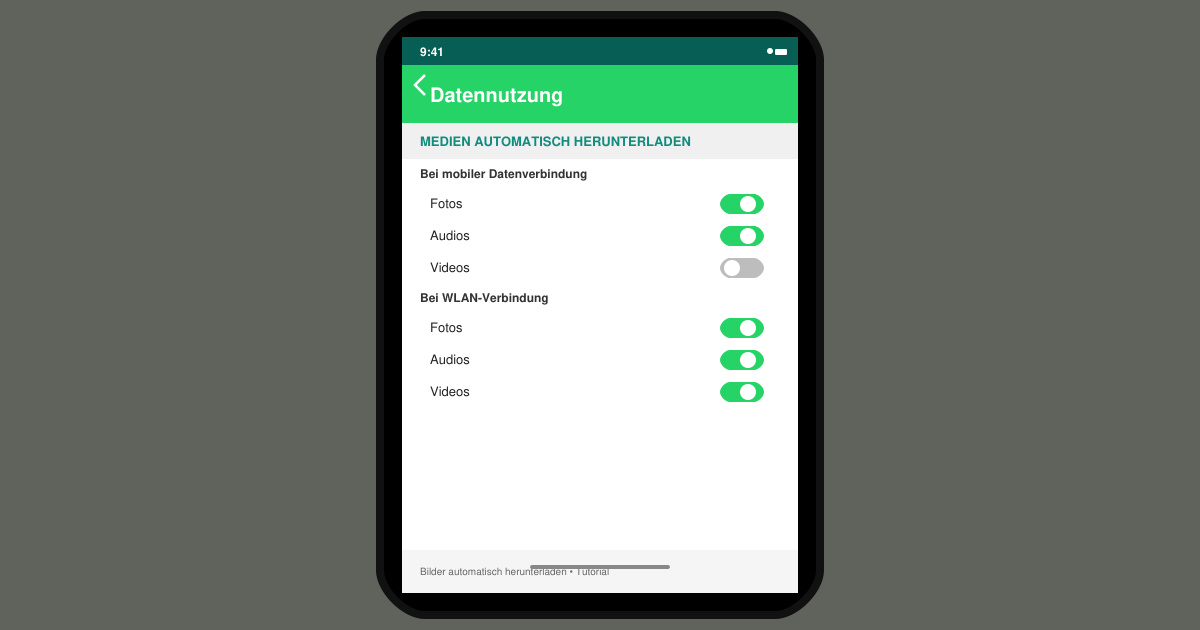 WhatsApp bilder automatisch herunterladen