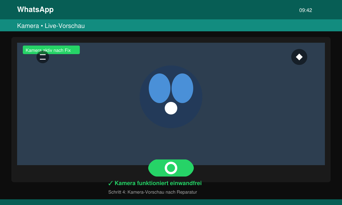 WhatsApp chat screen after fix with camera icon active and ready to use