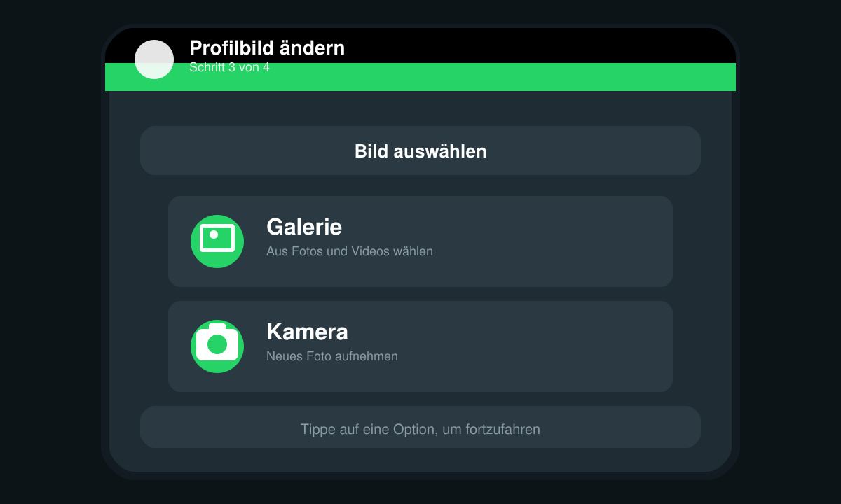 Close-up of the WhatsApp image selection screen showing gallery and camera options