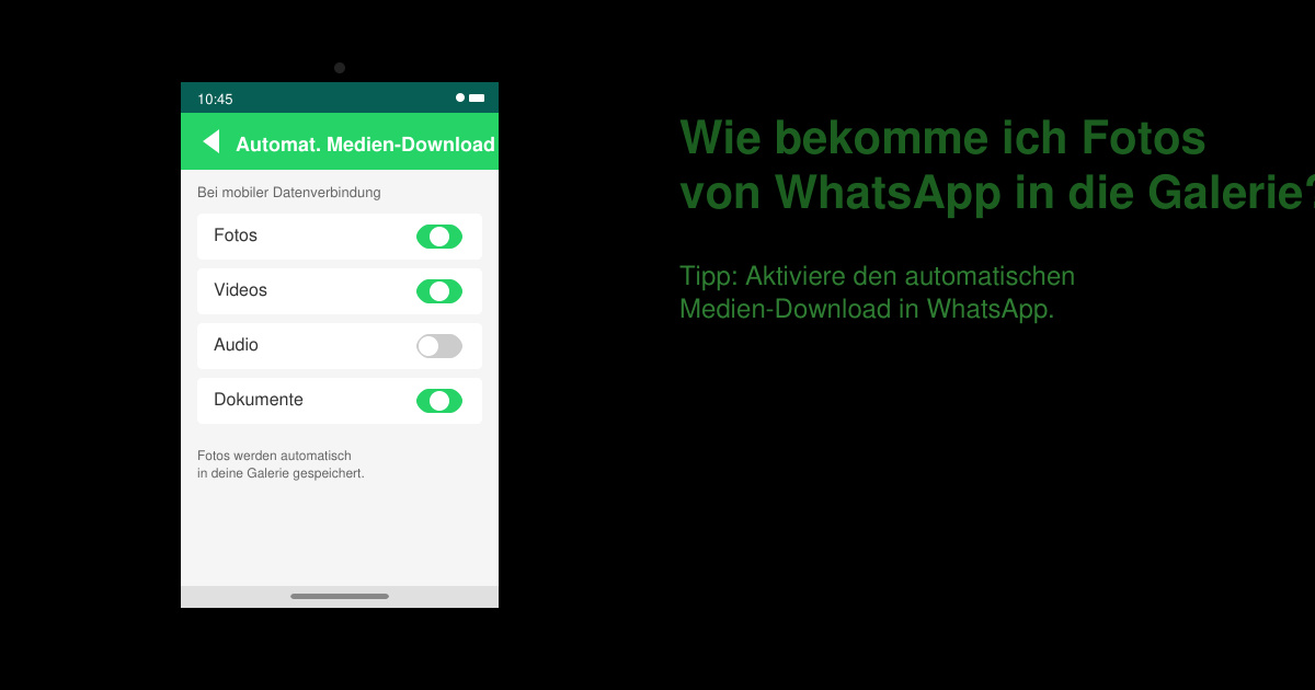 Wie bekomme ich fotos von WhatsApp in die galerie