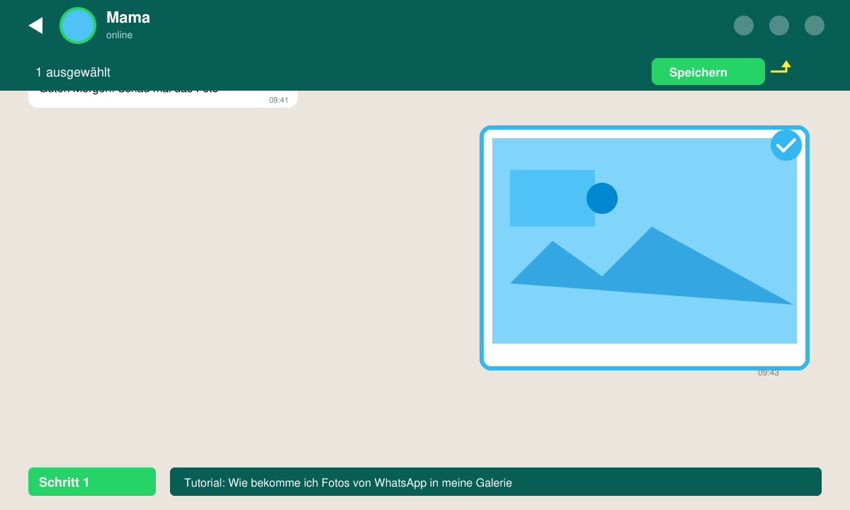 Detailansicht: WhatsApp-Chat mit markiertem Foto und Speichern-Button