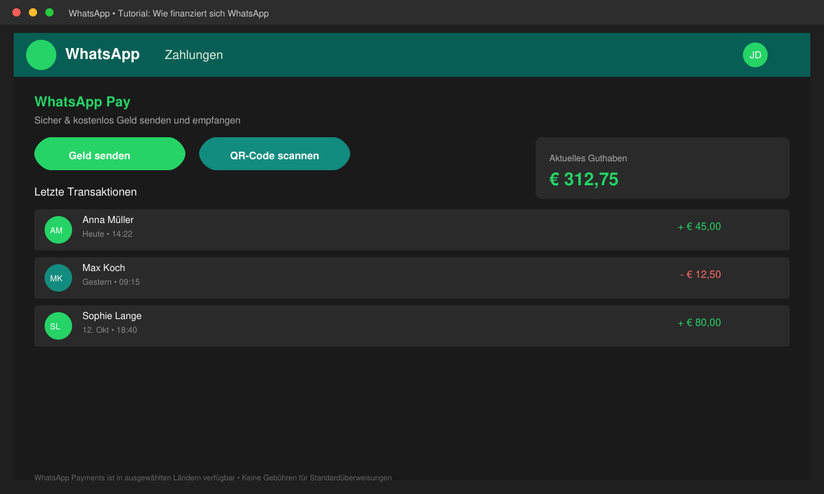 Darstellung von WhatsApp Payments in der App