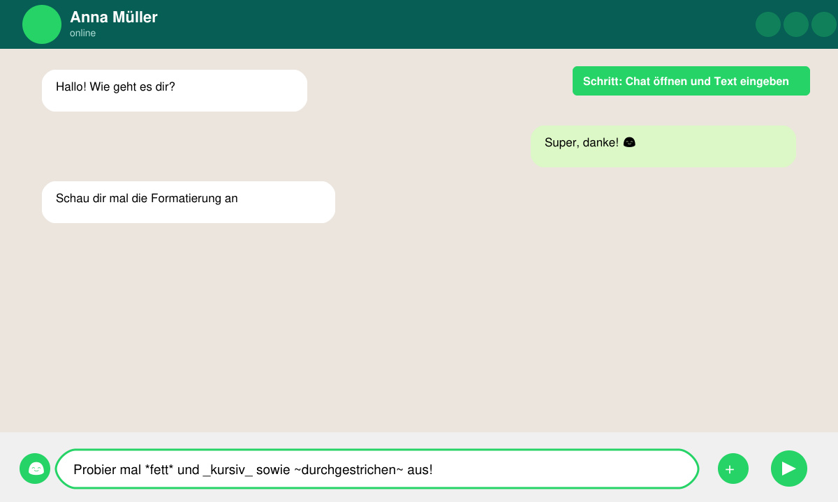 Nahaufnahme des WhatsApp-Eingabefelds mit eingegebenem Text und Formatierungszeichen