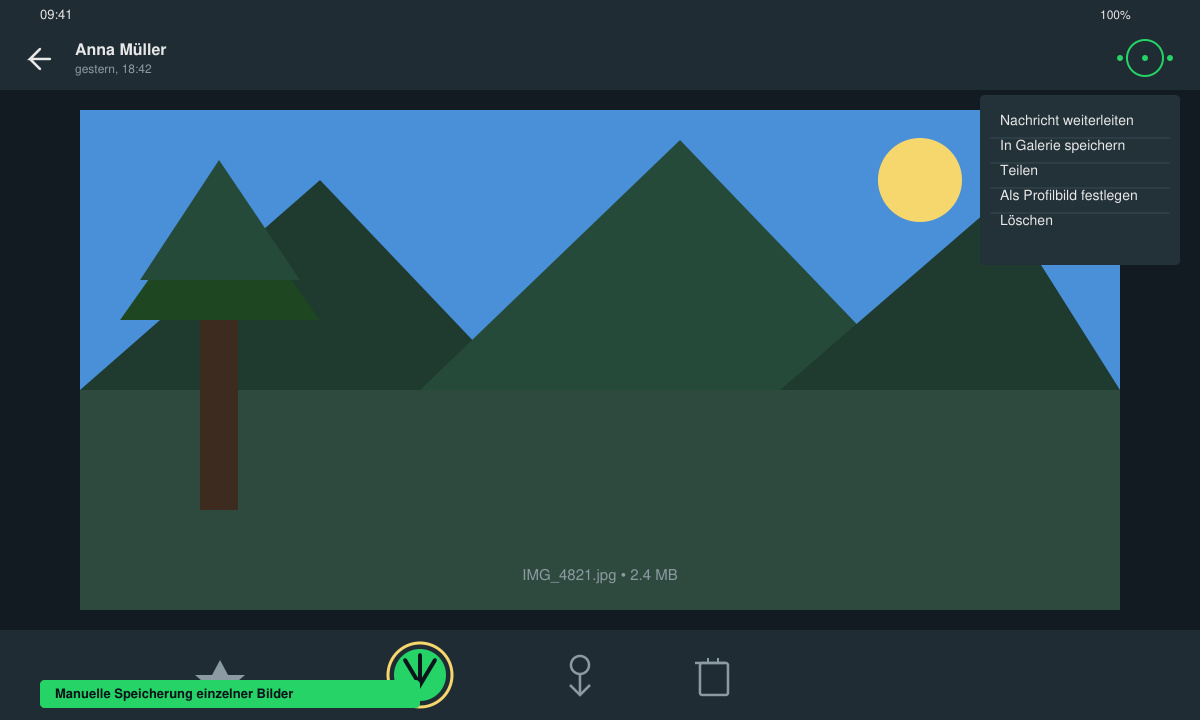WhatsApp-Chat mit geöffnetem Bild und sichtbarem Download-Symbol
