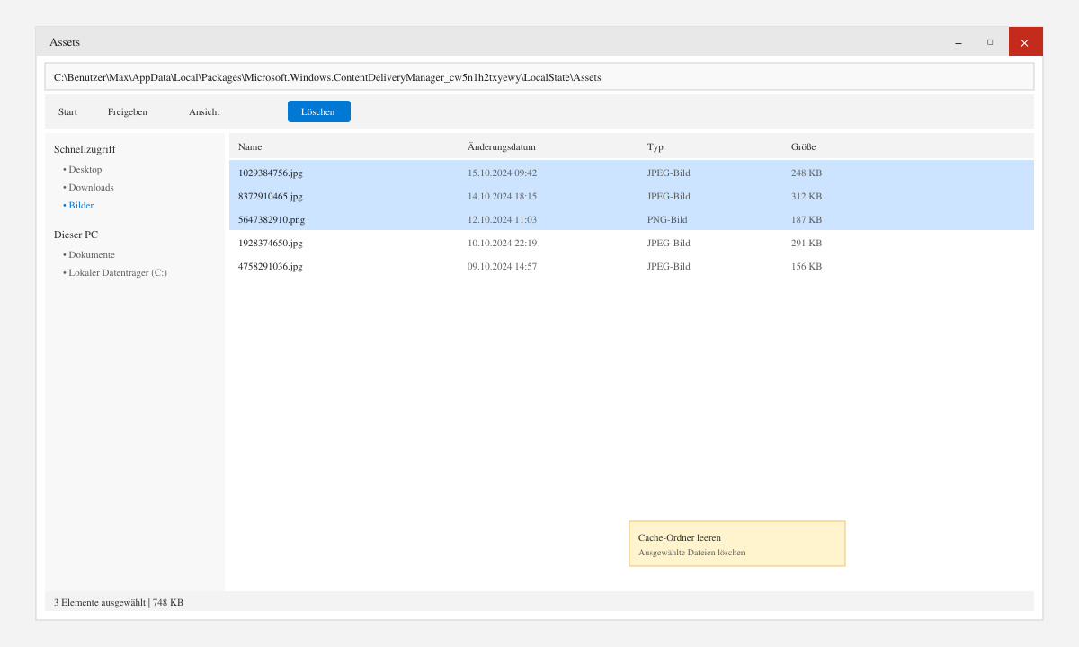 Cache-Ordner von Windows Blickpunkt löschen