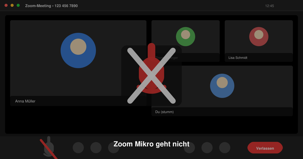 Zoom mikro geht nicht