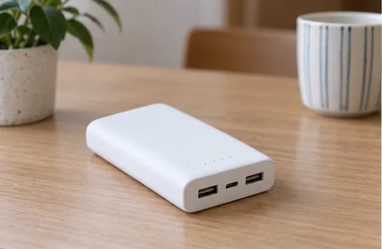 外殼完整、沒有膨脹跡象的白色行動電源放在室內木桌上，作為回收前檢查的範例