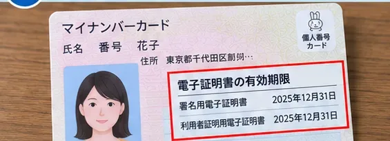 マイナンバーカードの電子証明書有効期限欄を確認するイメージ