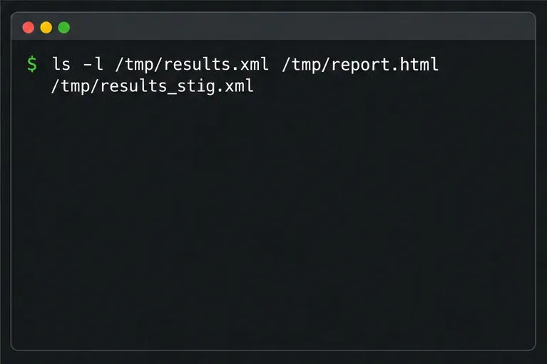 A terminal shows a command for checking whether the expected scan evidence files are present; no file output is displayed.