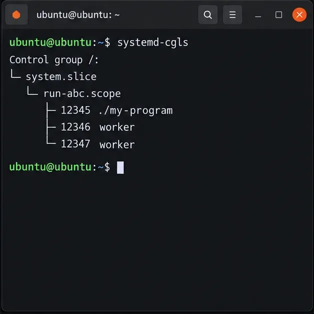 Terminal cgroup tree showing a transient run scope containing a program and two worker processes