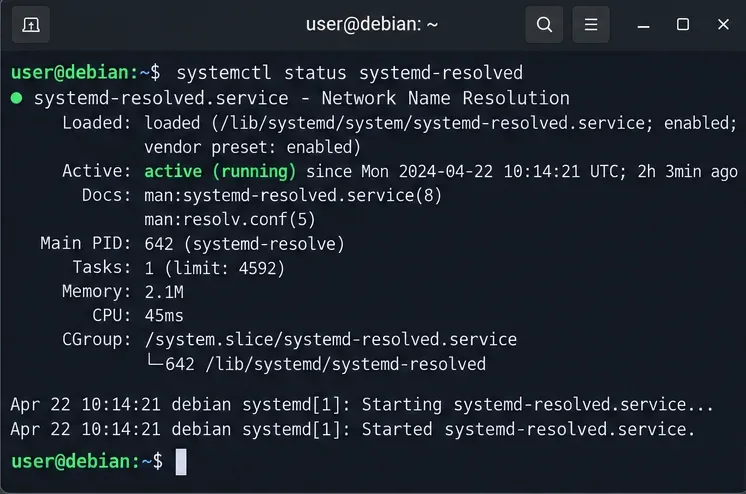 ข้อผิดพลาดในการค้นหา DNS ของ Debian 12: ซ่อมแซม systemd-resolved