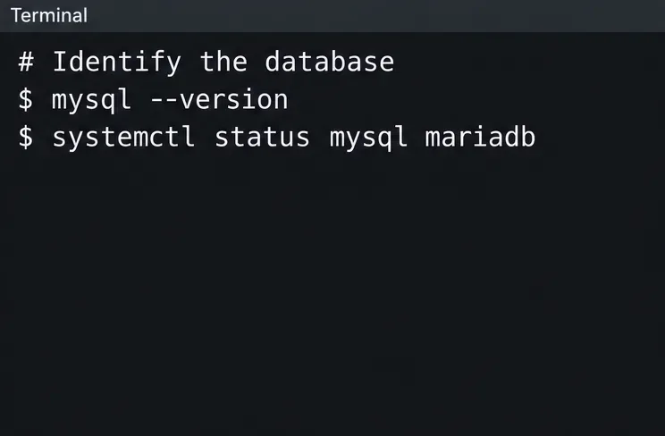 用於檢查資料庫用戶端版本和 MySQL 或 MariaDB 服務狀態的終端命令範例。