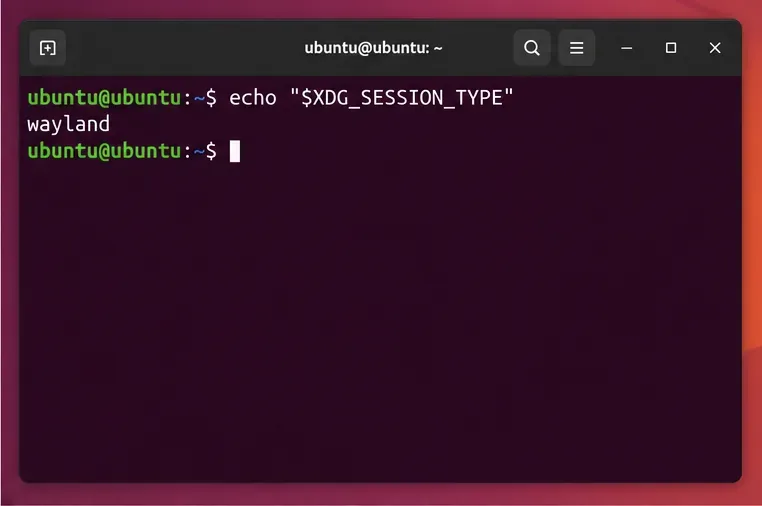 A terminal shows echo