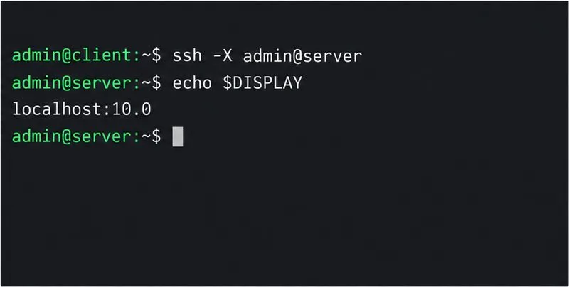 SSH 터미널이 ssh -X 명령으로 연결되고 DISPLAY가 localhost:10.0임을 확인합니다.