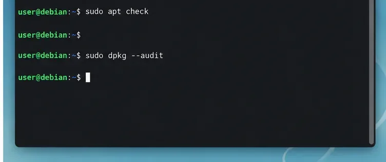 A cropped Debian terminal view shows apt check and dpkg audit commands followed by blank prompts.