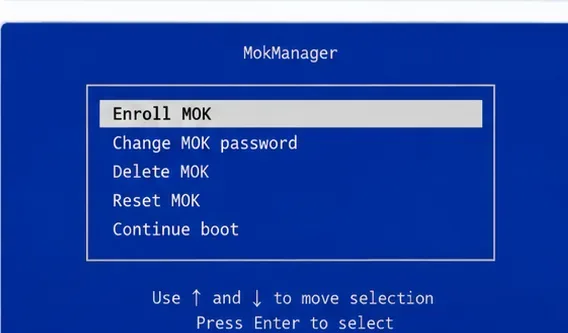 Menu de démarrage bleu de type MokManager avec l'option « Enregistrer la clé MOK » mise en évidence par rapport aux autres options de clé propriétaire de la machine.
