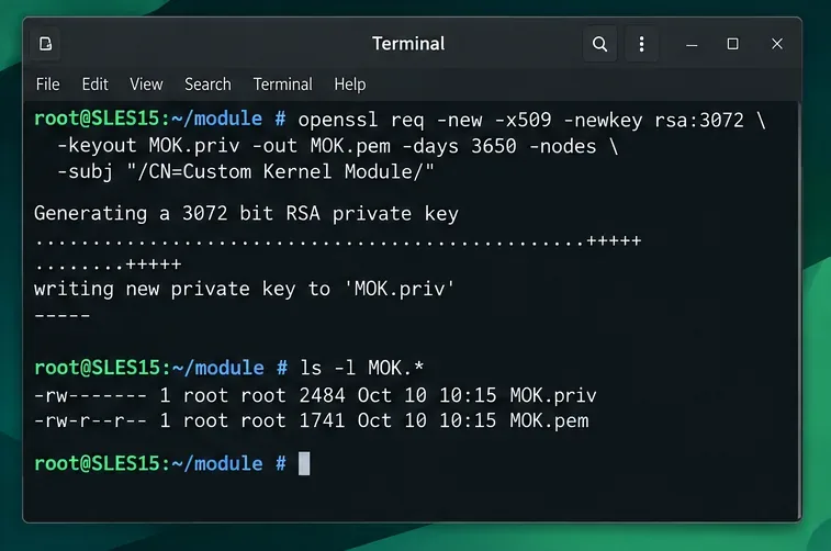 Terminal affichant une commande OpenSSL créant une clé privée RSA locale et un certificat de signature de module X.509