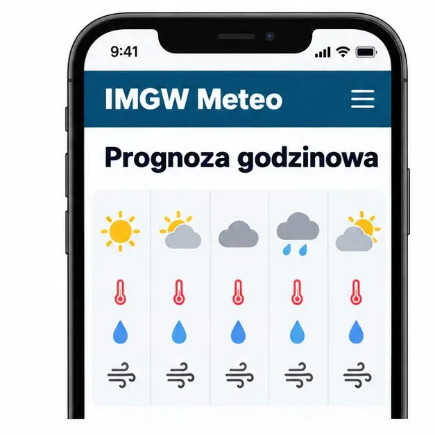 Schemat ekranu IMGW Meteo z prognozą godzinową oraz ikonami temperatury, opadu i wiatru