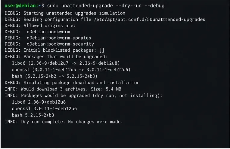 Illustrazione del terminale dell'output di debug di una simulazione di aggiornamento automatico, che elenca un piano di pacchetti simulato.