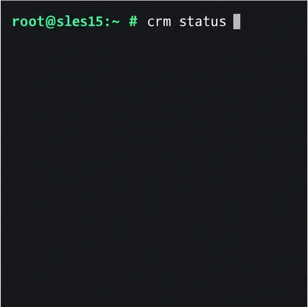 Esempio di terminale che mostra il comando `crm status` utilizzato per verificare lo stato del cluster.