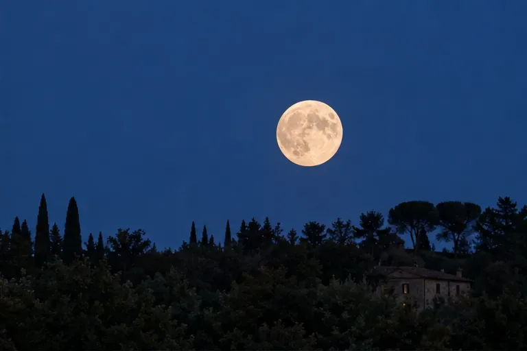 Luna quasi piena visibile sopra una linea di alberi durante il crepuscolo