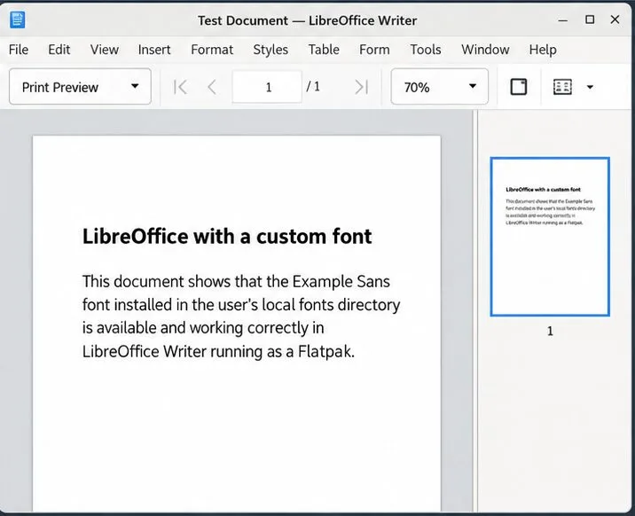 LibreOffice print preview shows a one-page document formatted with a custom sans-serif font.