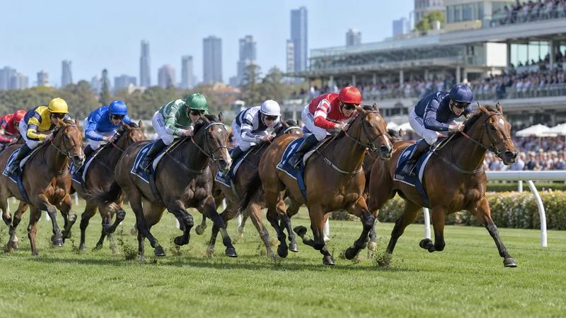 Melbourne Cup 2026 Field: Latest Information and What to Check