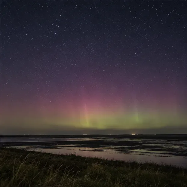 Zachte roze en groene poollichtgloed boven ondiep water en donker riet