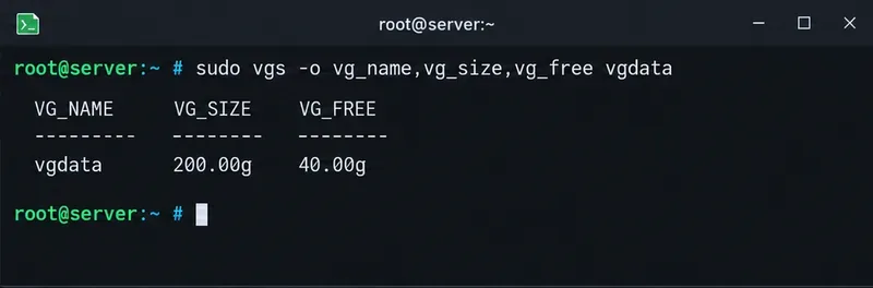 Terminal showing vgs output for volume group vgdata with 200 GiB total and 40 GiB free