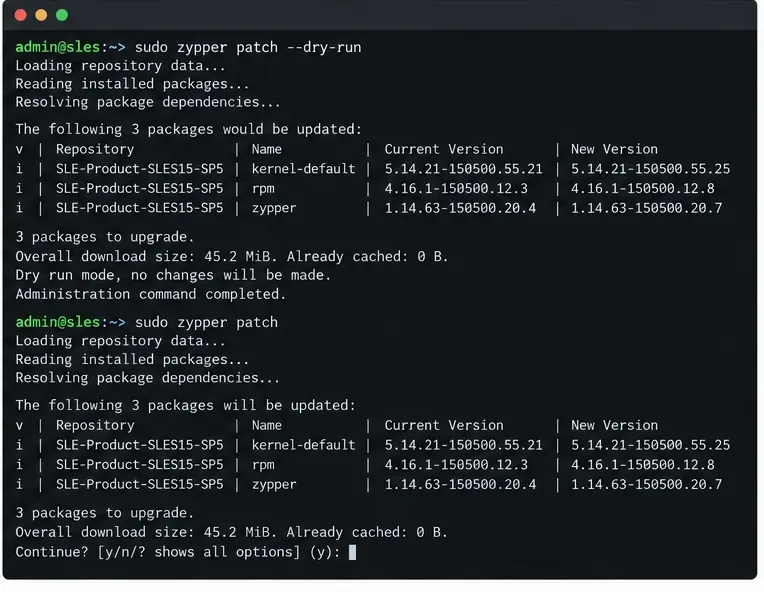 SLES terminal example reviewing a Zypper patch dry run before a planned package update